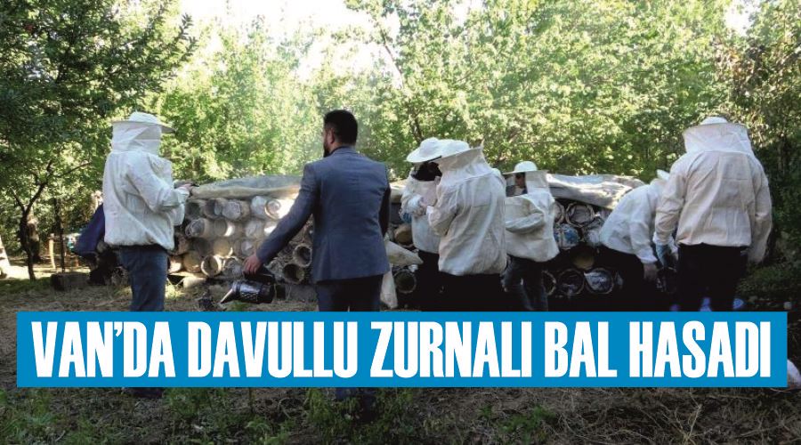 Van’da davullu zurnalı bal hasadı