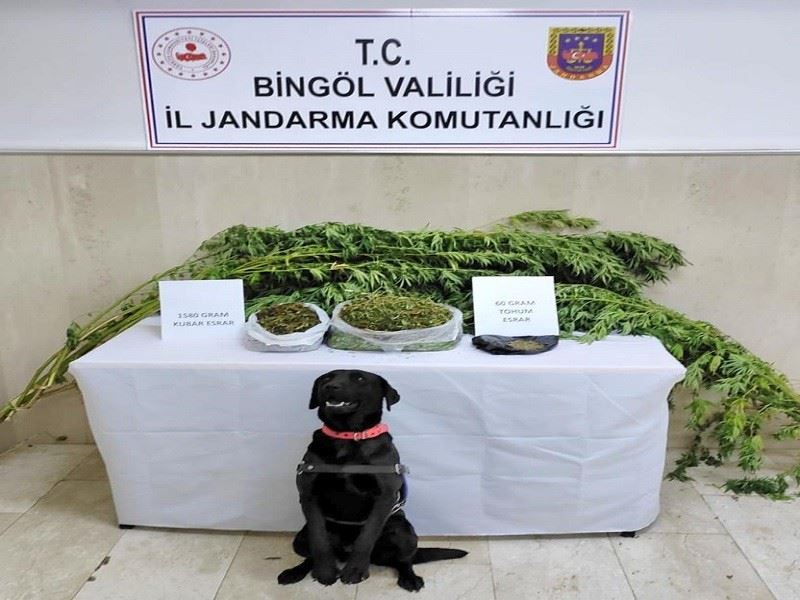 Bingöl’de iki adrese yapılan operasyonda uyuşturucu ele geçirildi

