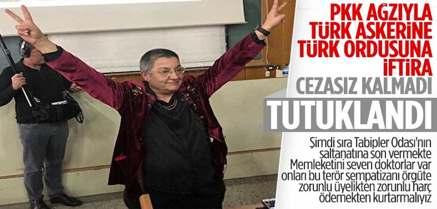 TTB Başkanı Şebnem Korur Fincancı tutuklandı