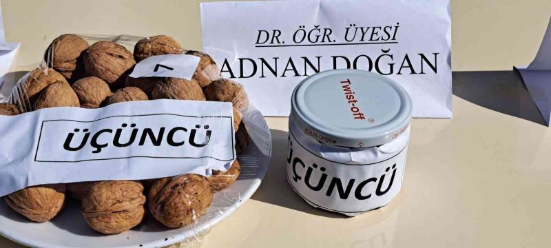 Adilcevaz 25. Ceviz Festivali’nde renkli görüntüler

