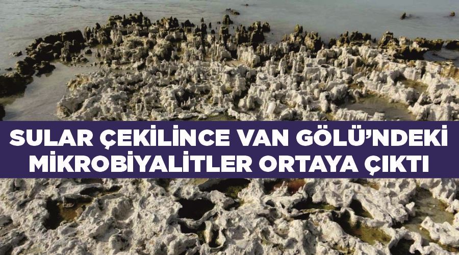 Sular çekilince Van Gölü’ndeki mikrobiyalitler ortaya çıktı