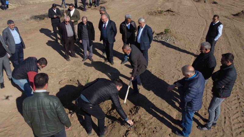 Erzincan TSO’ya ait hatıra ormanına fidan dikildi
