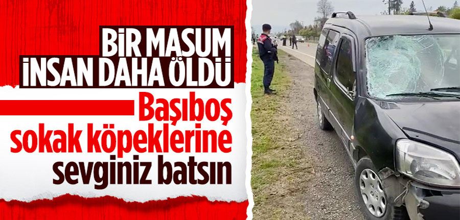 Köpek saldırısı bir can daha aldı