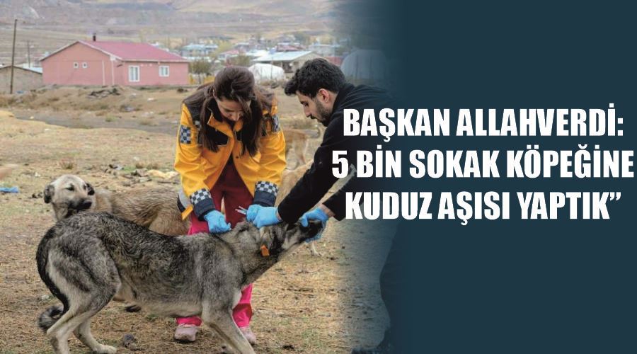 Başkan Allahverdi: “5 bin sokak köpeğine kuduz aşısı yaptık”