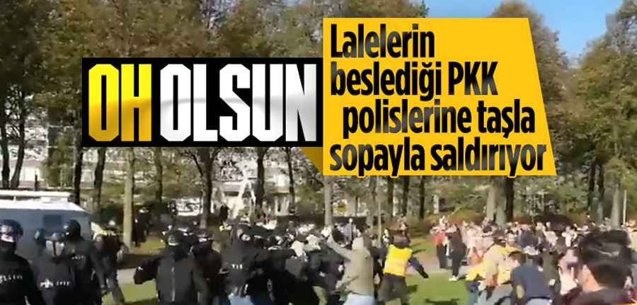 Hollanda