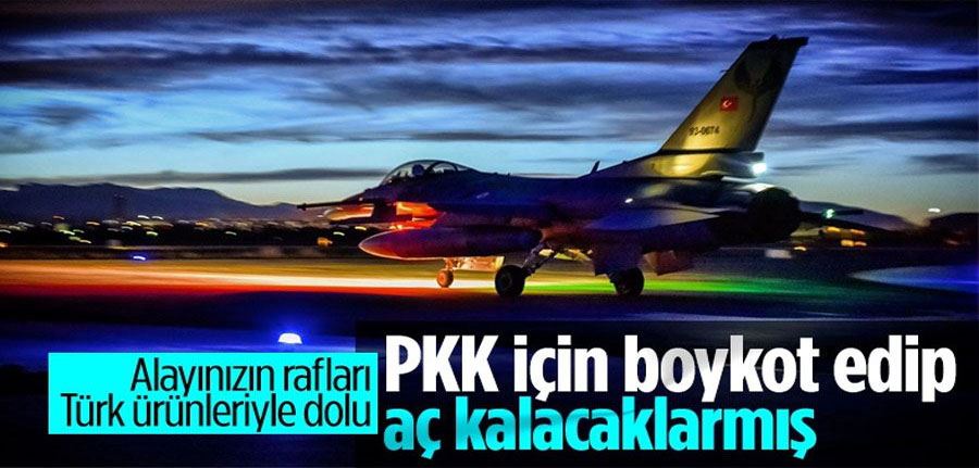 Pençe-Kılıç Operasyonu, Türkiye karşıtı lobileri harekete geçirdi