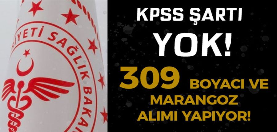 Sağlık Bakanlığı 309 Boyacı ve Marangoz Alımı İlanı İŞKUR 2022
