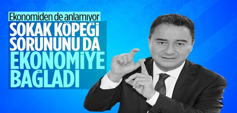 Ali Babacan, sokak köpeklerinin saldırılarını ekonomiye bağladı