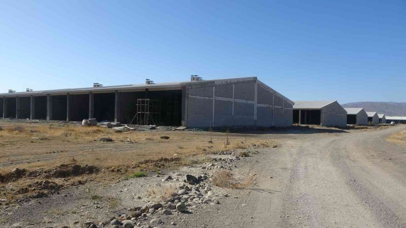 Devlet destekli yatırımla 4 bin kişi istihdam edilecek
