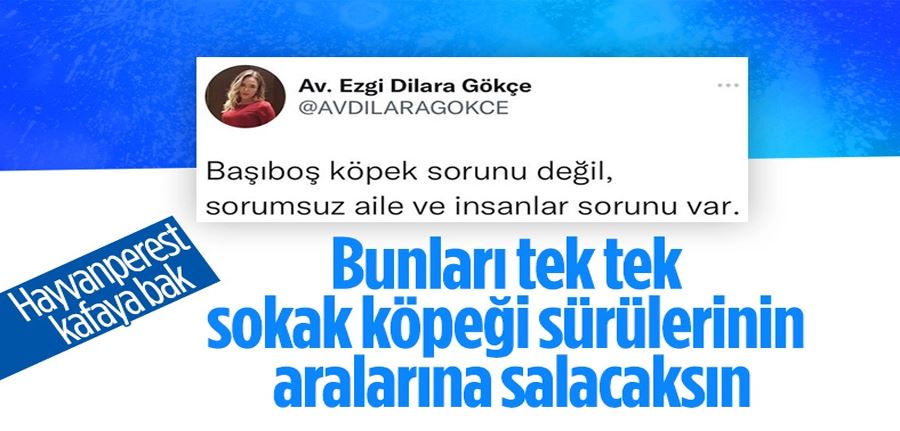 İyi Partili Ezgi Dilara Gökçe, kuduzla savaşan çocuğun ailesini suçladı 