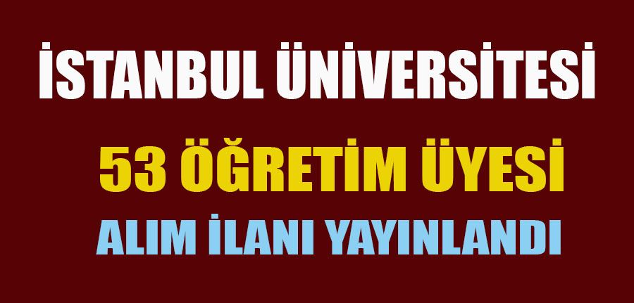 İstanbul Üniversitesi 53 öğretim üyesi alacak