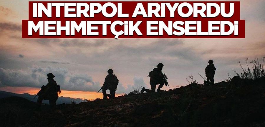  Gündem İnterpol arıyordu Mehmetçik enseledi Gündem İnterpol arıyordu Mehmetçik enseledi