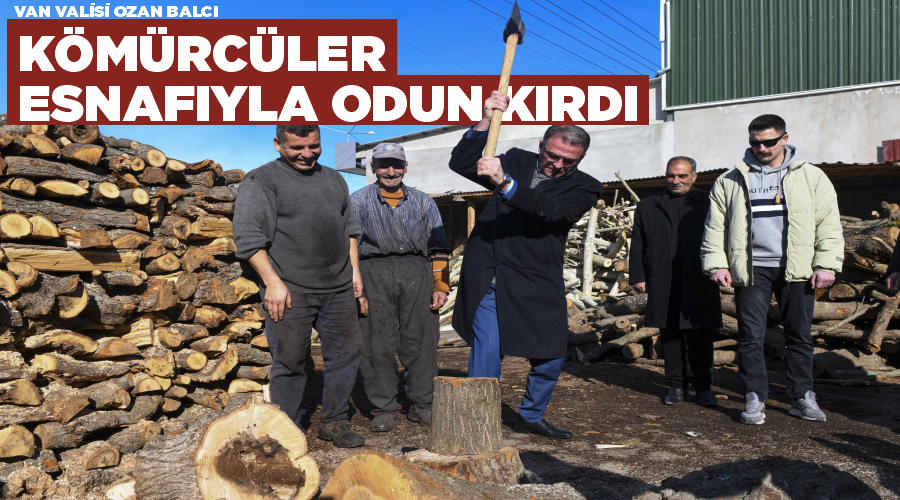 Van Valisi Dr. Ozan Balcı Kömürcüler Sitesi esnafıyla odun kırdı
