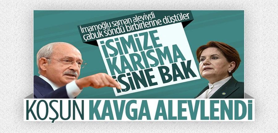 İyi Parti
