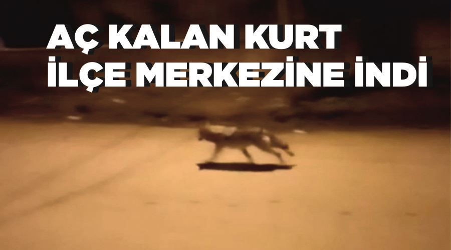 Gevaş