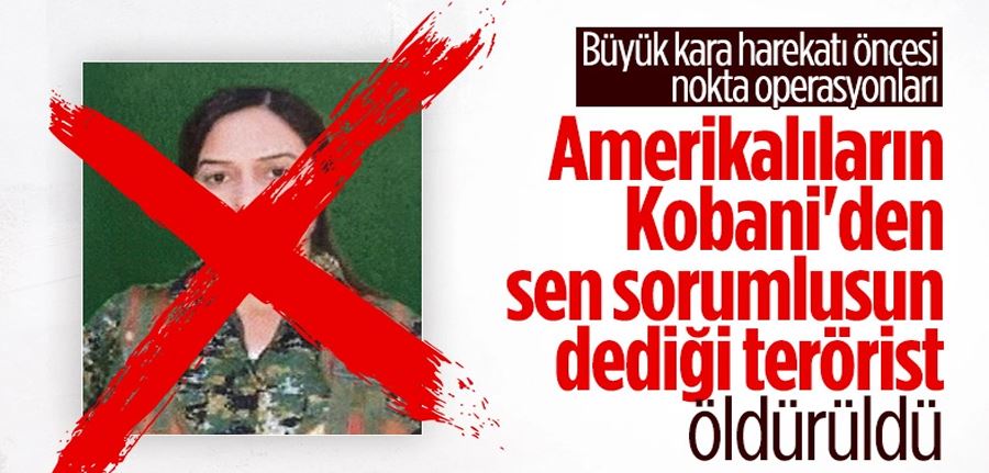 MİT, PKK/YPG