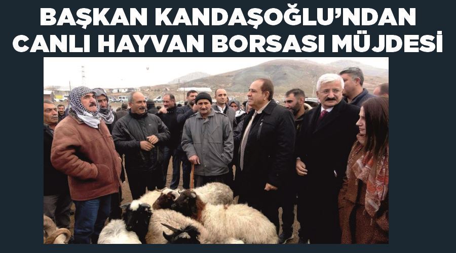 Başkan Kandaşoğlu’ndan Van