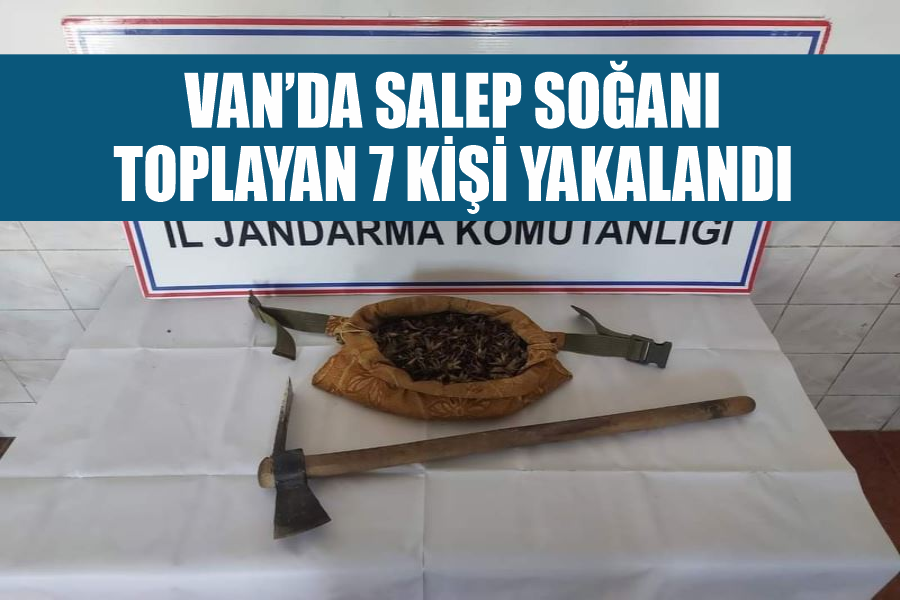 Van’da salep soğanı toplayan 7 kişi yakalandı