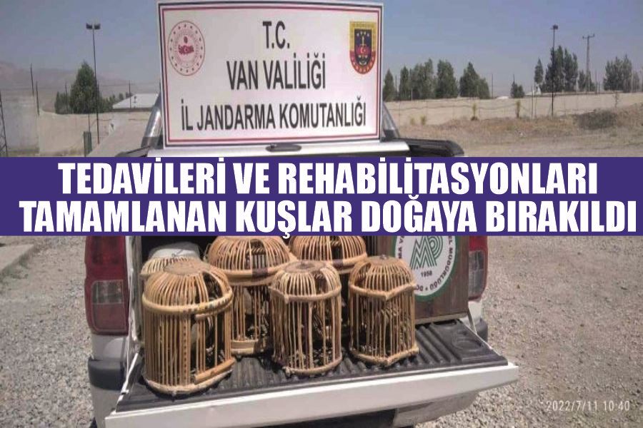 Tedavileri ve rehabilitasyonları tamamlanan kuşlar doğaya bırakıldı