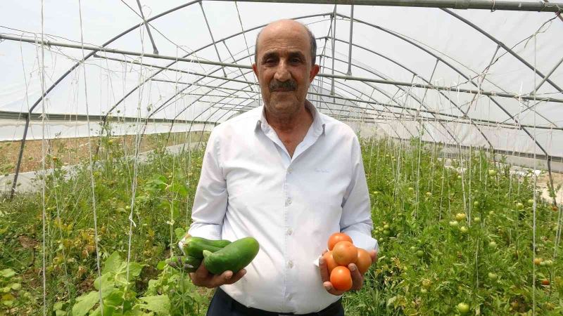 Kurduğu serada 10 yıldır ürettiği sebzeleri ihtiyaç sahiplerine bedava dağıtıyor
