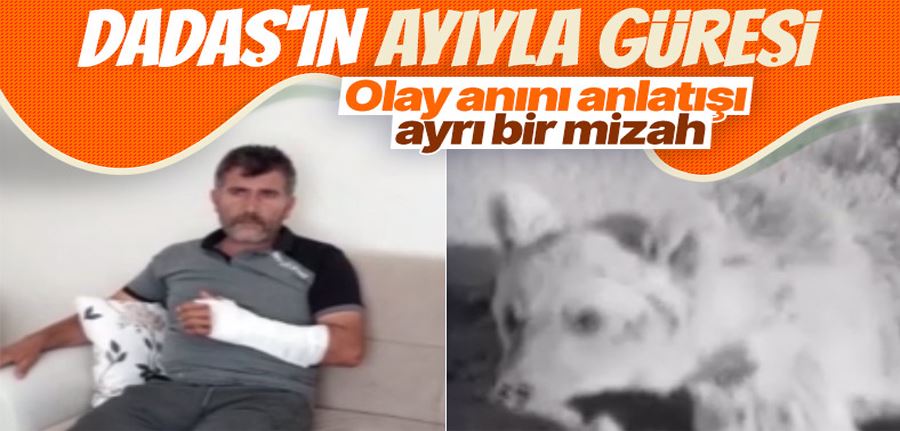 Öldüğü sandığı ayı saldırdı güreşerek hayatta kaldı