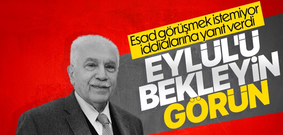 Doğu Perinçek, Beşar Esad