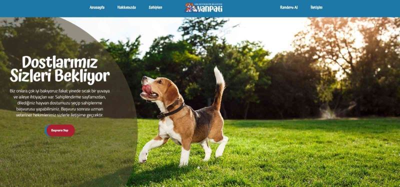 Vanpati ile sokak hayvanları sahiplenme dönemi başladı