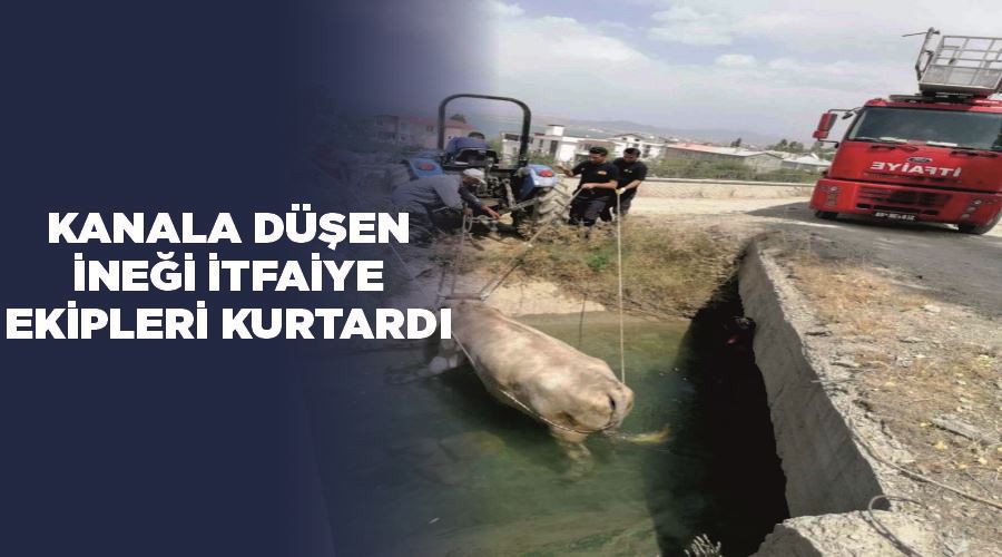 Kanala düşen ineği itfaiye ekipleri kurtardı
