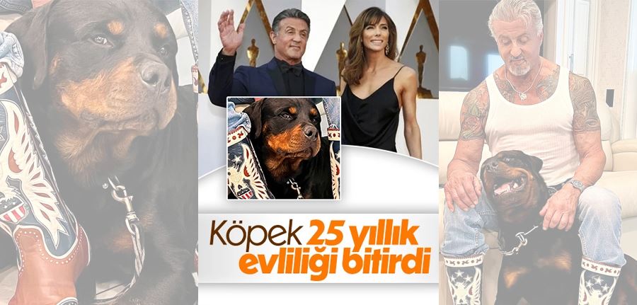 Sylvester Stallone boşanıyor