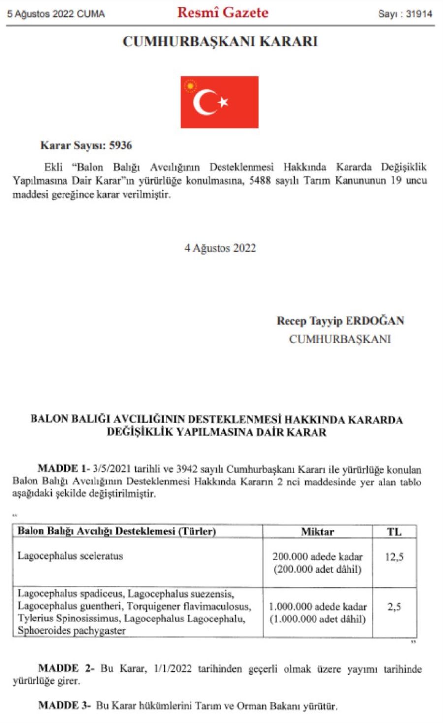 balonbalığı