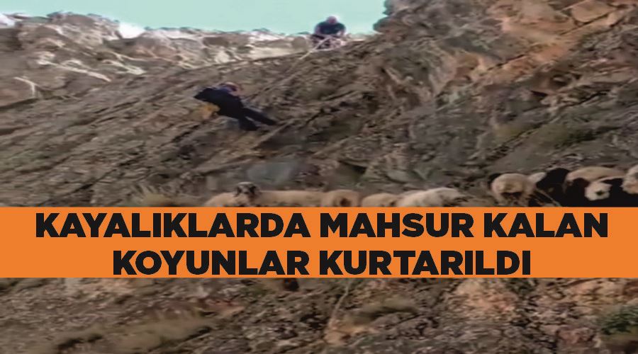 Çatak