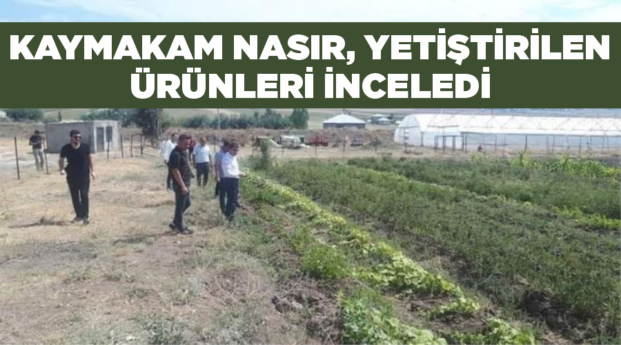 Kaymakam Nasır, yetiştirilen ürünleri inceledi