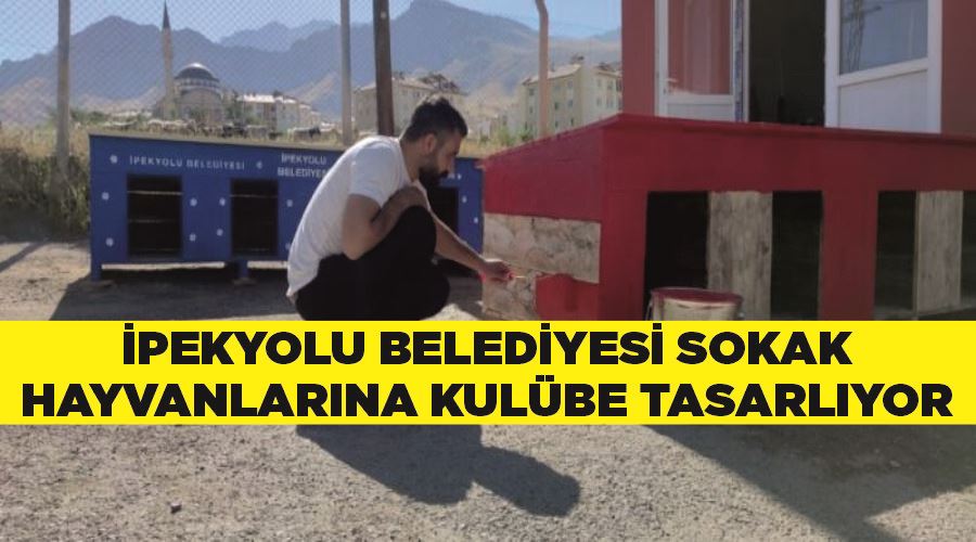 İpekyolu Belediyesi sokak hayvanlarına kulübe tasarlıyor