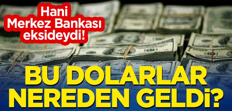 Hani Merkez Bankası ekside diyordunuz! Bu dolarlar nereden geldi?