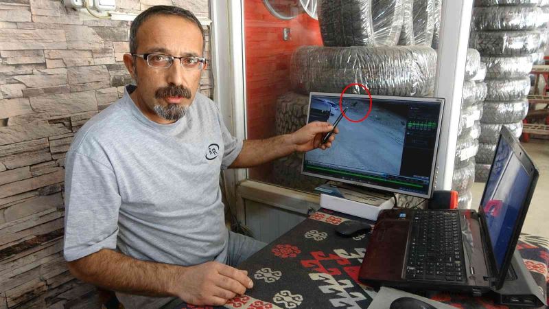 Boynuna ip dolanan koyun, bir esnaf tarafından kurtarıldı
