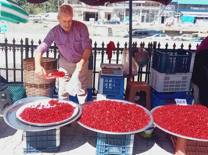Tezgahlarda yerini aldı! 20 liradan satılıyor
