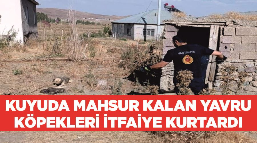 Kuyuda mahsur kalan yavru köpekleri itfaiye kurtardı