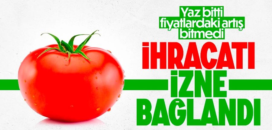 Domates ihracatı Ticaret Bakanlığı iznine bağlandı