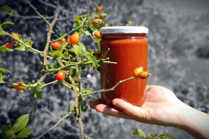 C vitamini deposu kuşburnu köylerde yorucu bir çalışmanın ardından marmelat olarak kavanozlara giriyor
