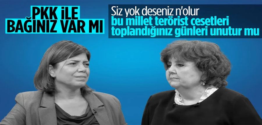 HDP