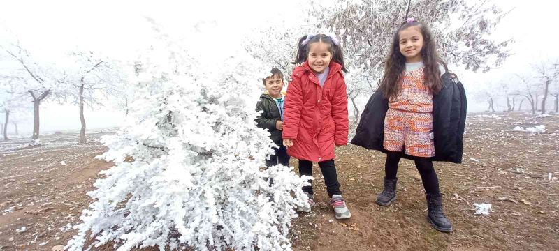 Bitlis’te kırağı tutan ağaçlar kartpostallık görüntü oluşturdu
