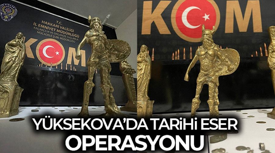 Yüksekova’da 111 adet sikke ele geçirildi
