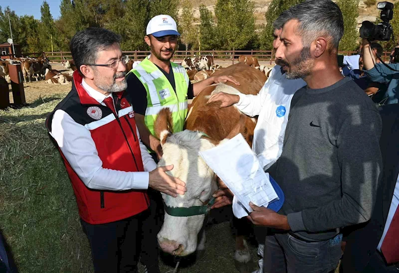 Malatyalı depremzedelere büyükbaş hayvan desteği
