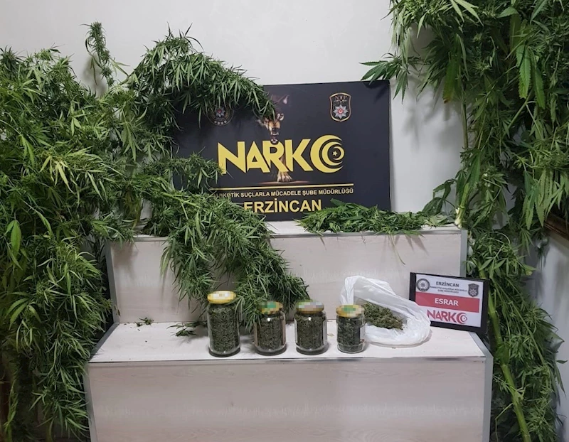 Erzincan’da 642.49 gram esrar ve 3 kök kenevir ele geçirildi
