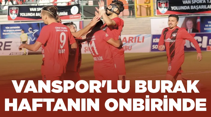Vanspor