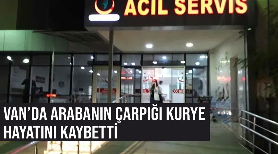 Van’da arabanın çarpığı kurye hayatını kaybetti