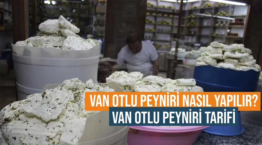 Van otlu peyniri nasıl yapılır? Van otlu peyniri tarifi