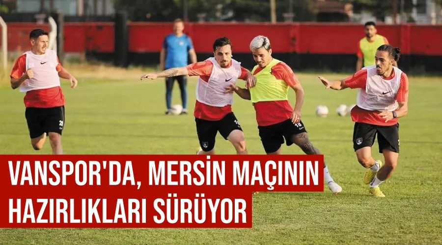 Vanspor