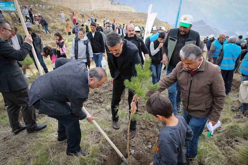 Vali Ali Çelik: 