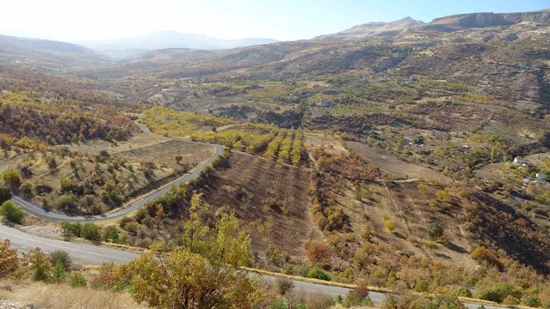 Levent Vadisi sonbaharda göz kamaştırıyor
